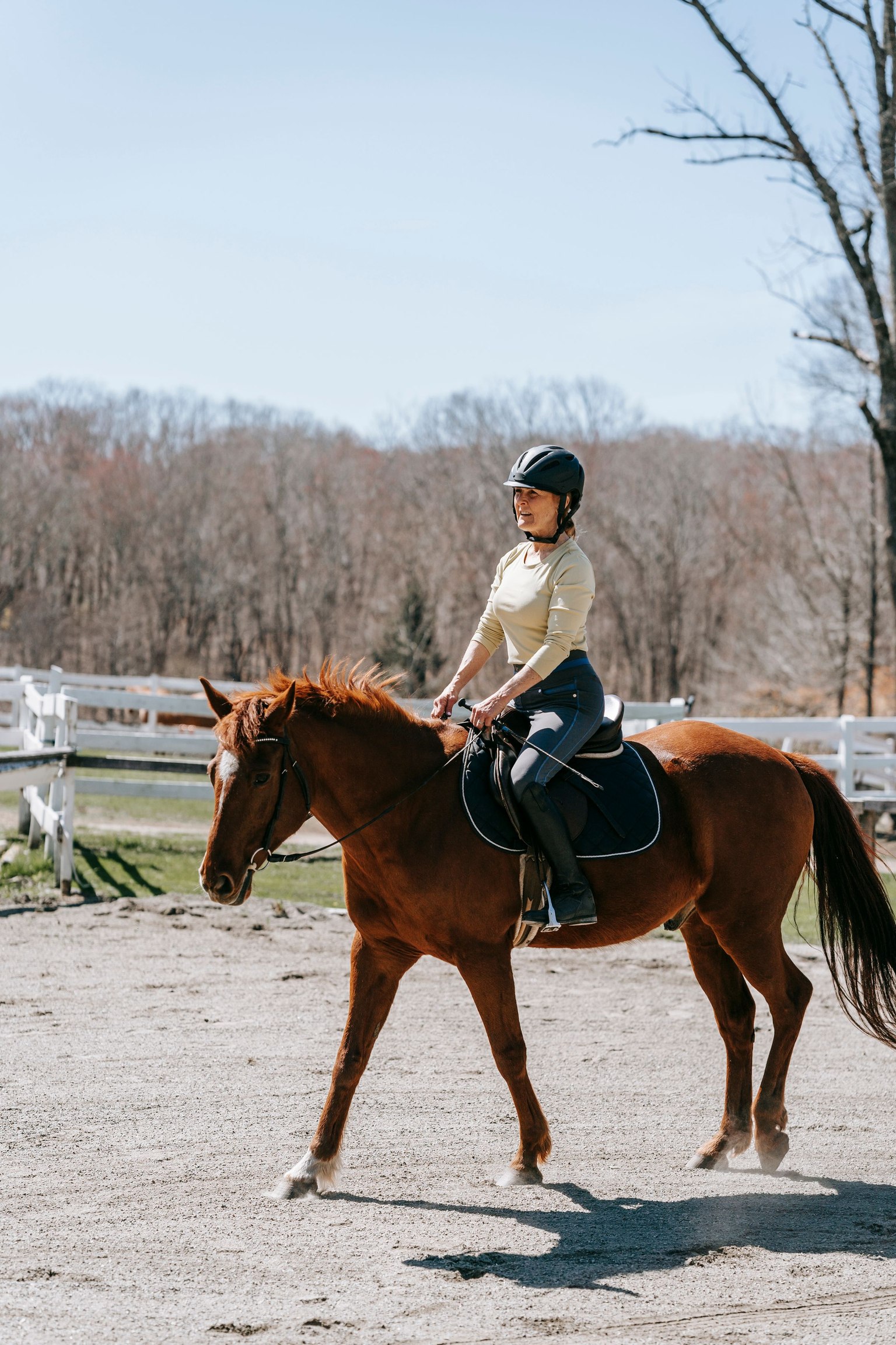 Cavalière portant un casque sur un cheval bai dans une carrière extérieure en sable.